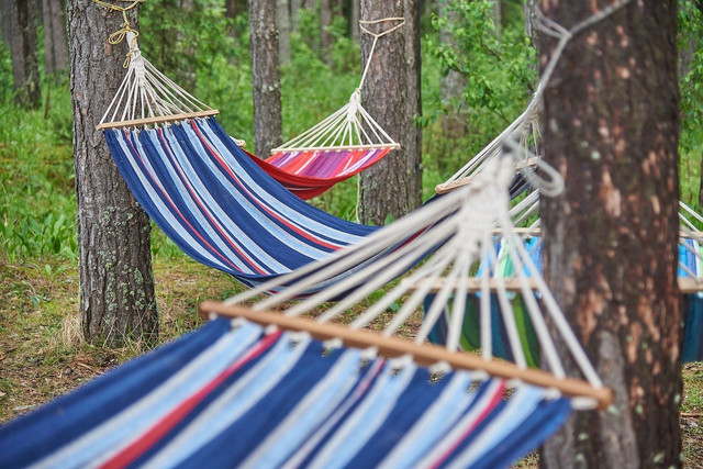 Co jest lepsze do ogrodu Deckchair or Hammock?