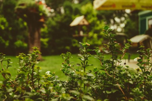 5 powodów, dla których warto zainwestować w system zbierania deszczówki do ogrodu